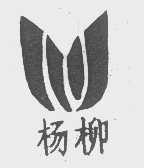 杨柳