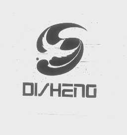 DISHENG