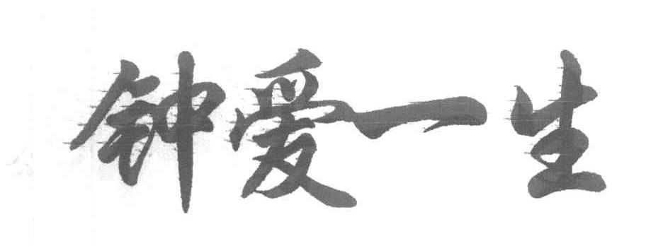 钟爱一生
