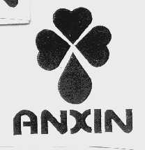 ANXIN