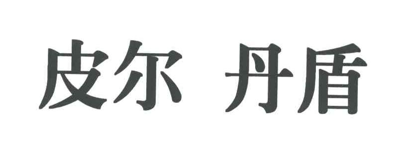 皮尔丹盾