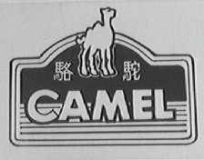 骆驼    CAMEL