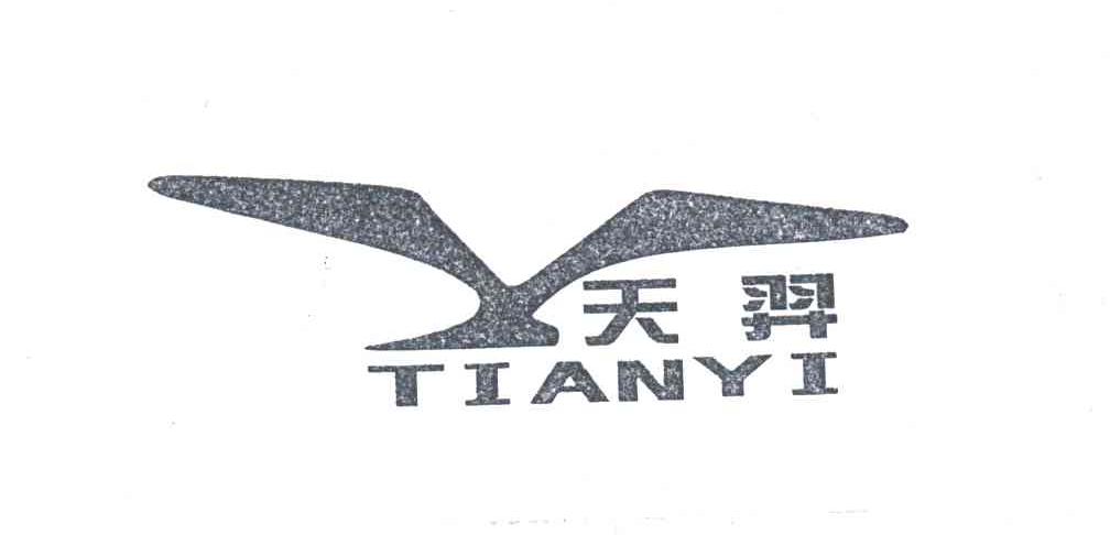 天羿;TIAN YI
