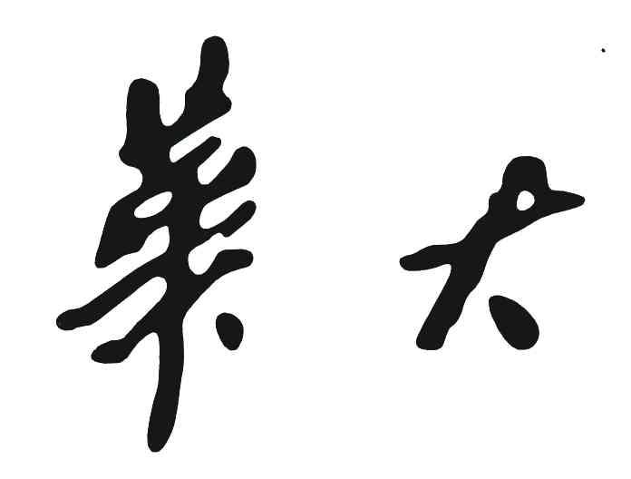 华大