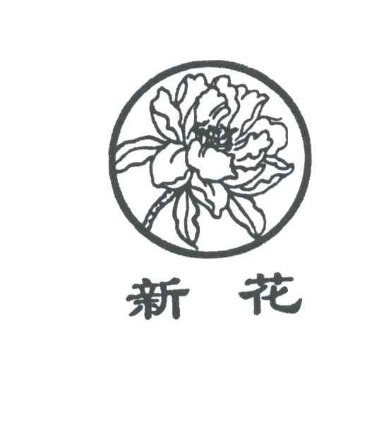 新花