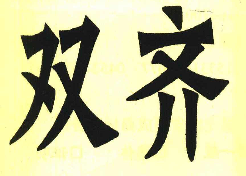 双齐