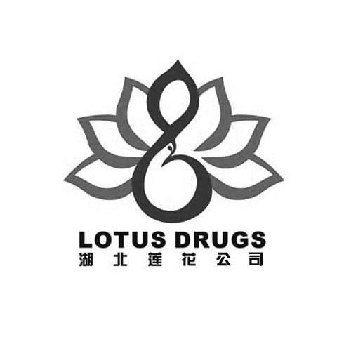 湖北莲花公司 LOTUSDRUGS