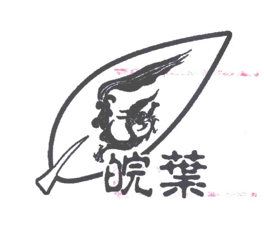 皖叶