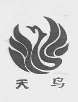 天鸟