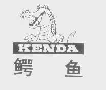 鳄鱼   KENDA