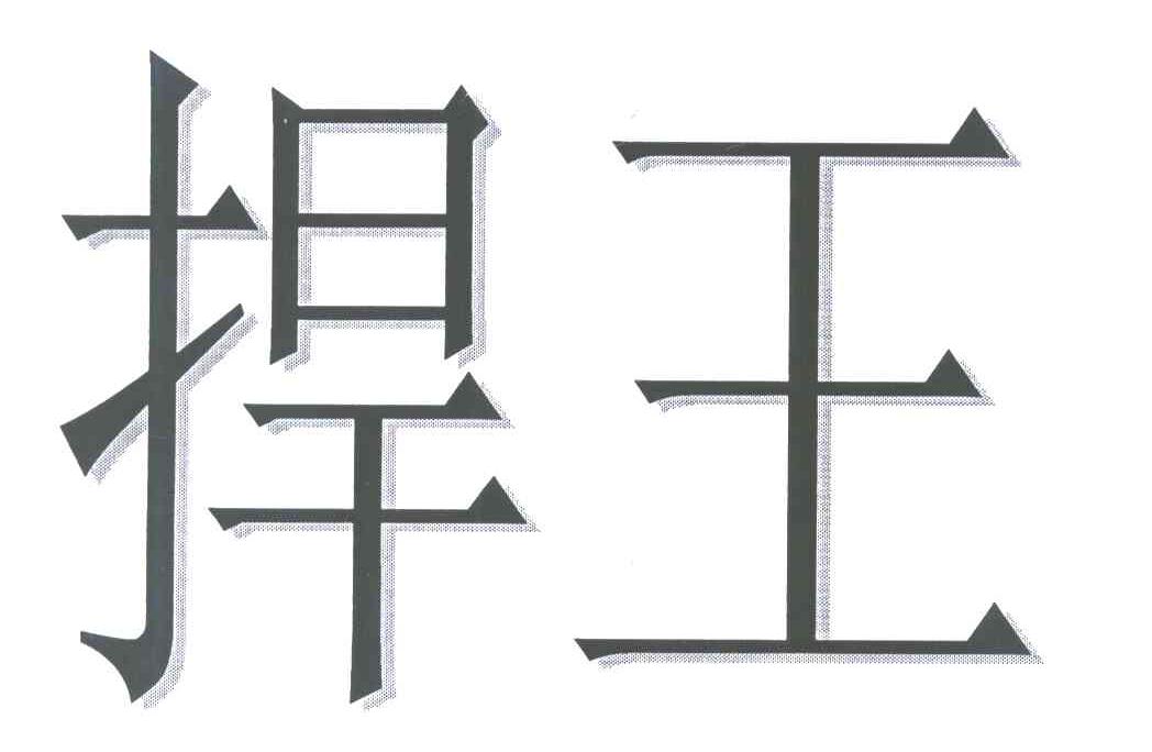 捍王