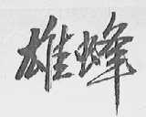 雄蜂