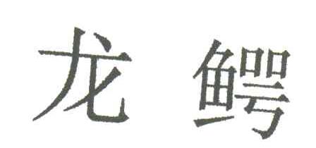 龙鳄