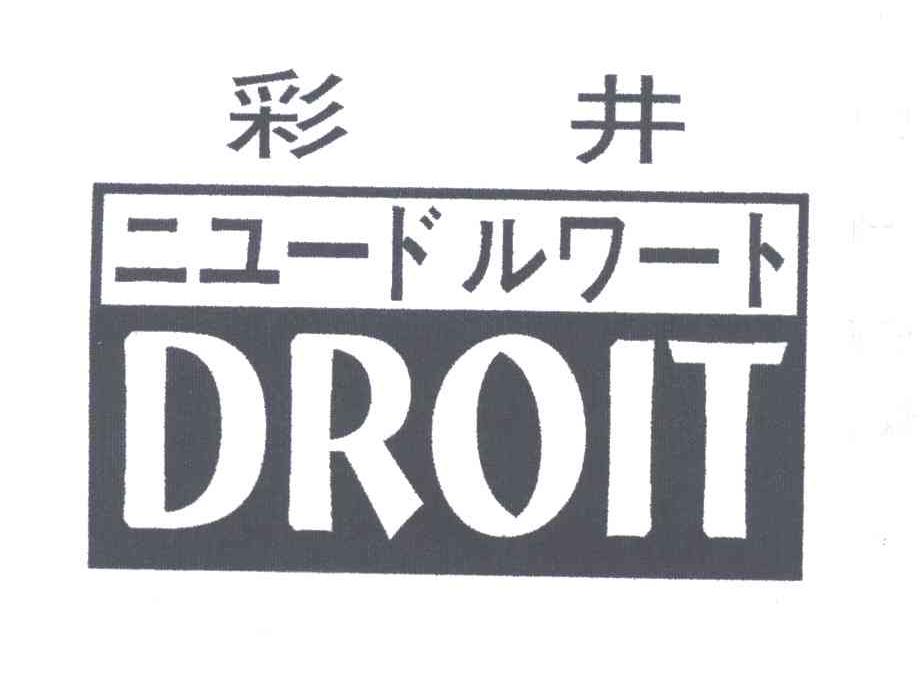 彩井;DROIT