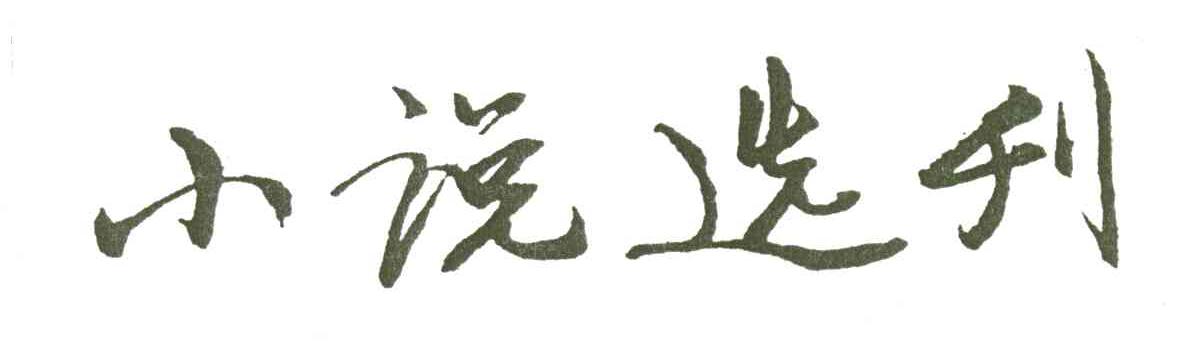 小说选刊