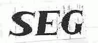 赛格 SEG