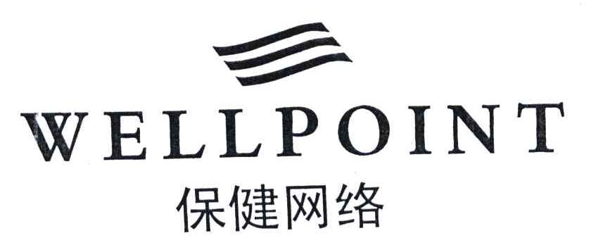 保健网络;WELLPOINT