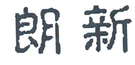 朗新