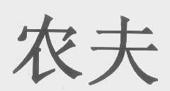 农夫