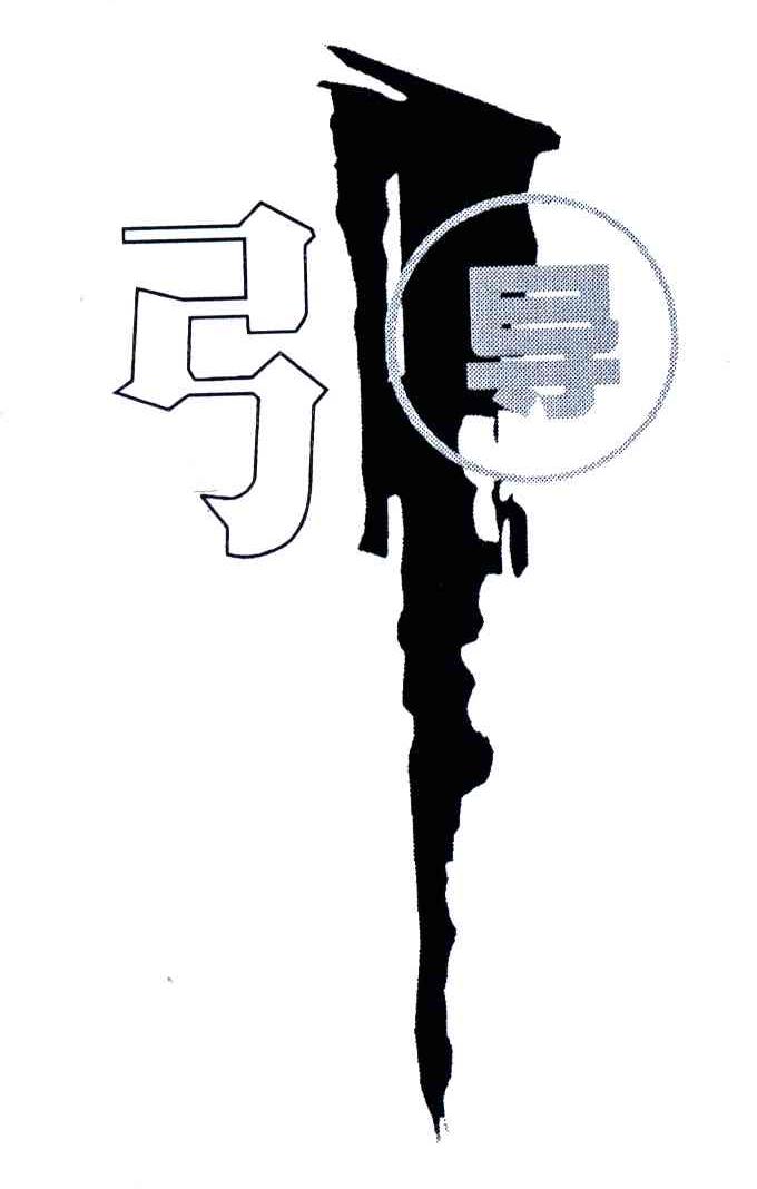 引导