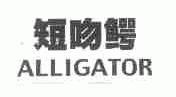 短吻鳄;ALLIGATOR