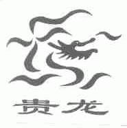 贵龙