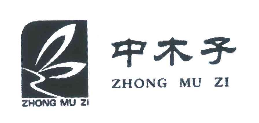 中木子