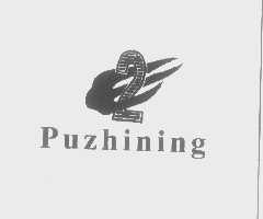 PUZHINING