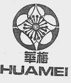 华梅