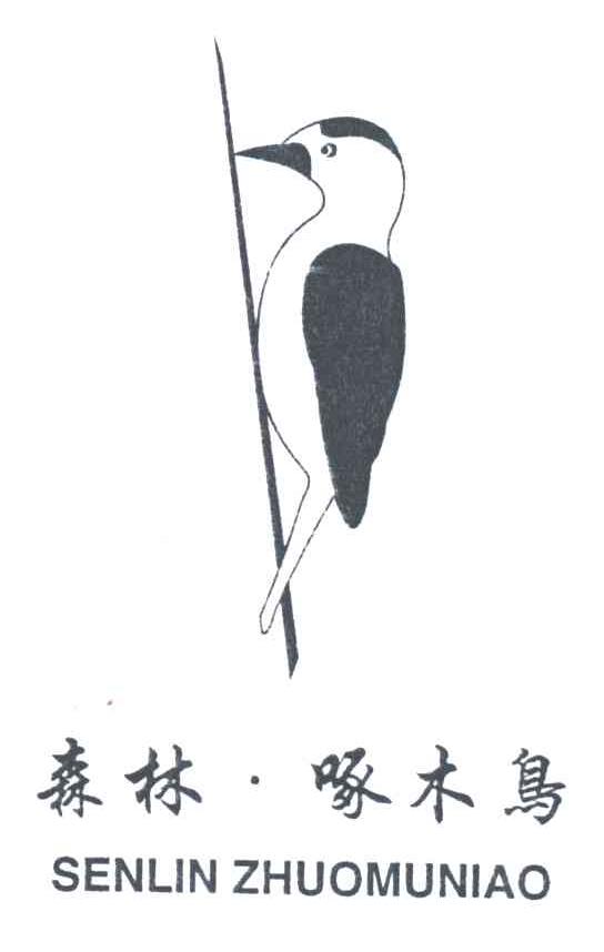 森林啄木鸟