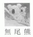 无尾熊
