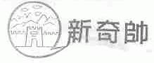 新奇帅