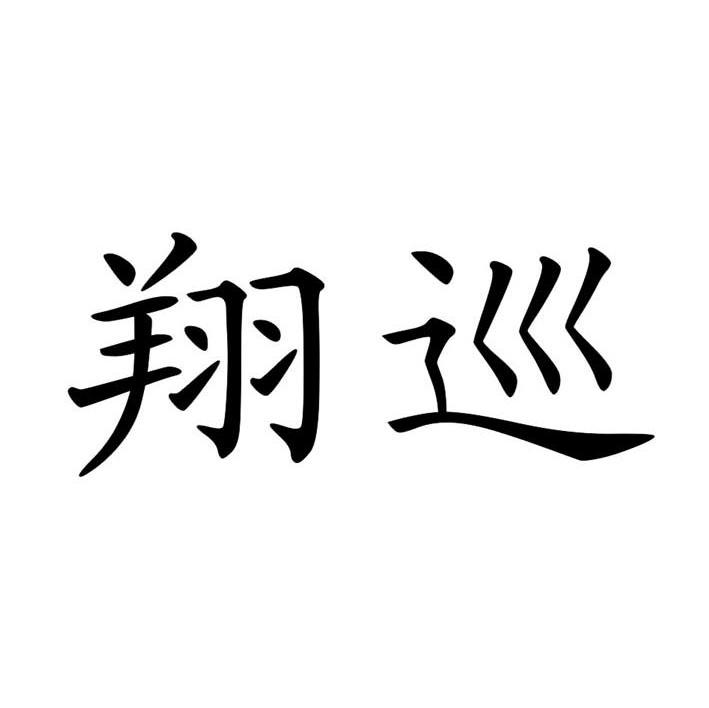 翔巡