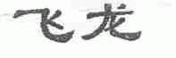 飞龙