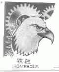 铁鹰;IRON EAGLE