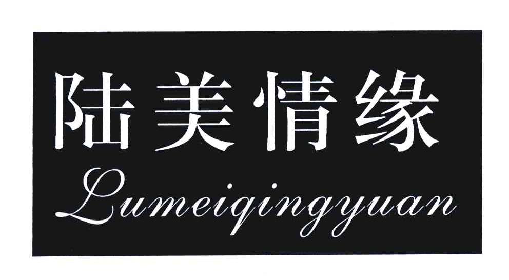 陆美情缘
