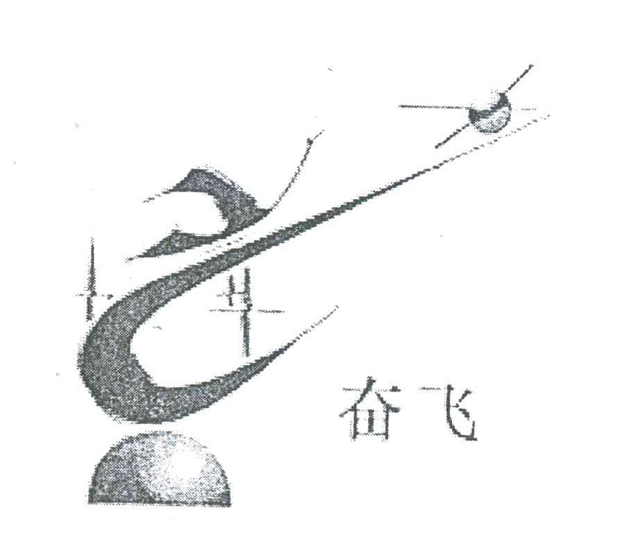 奋飞