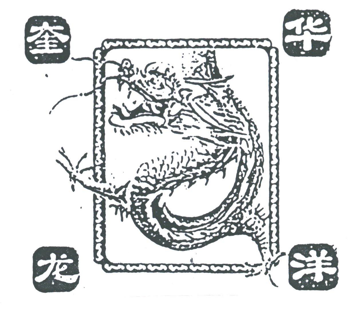 华洋奎龙