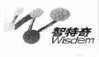 智特奇;WISDEM