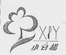 小白杨