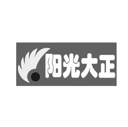 阳光大正