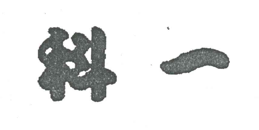 科一