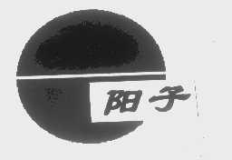 阳子