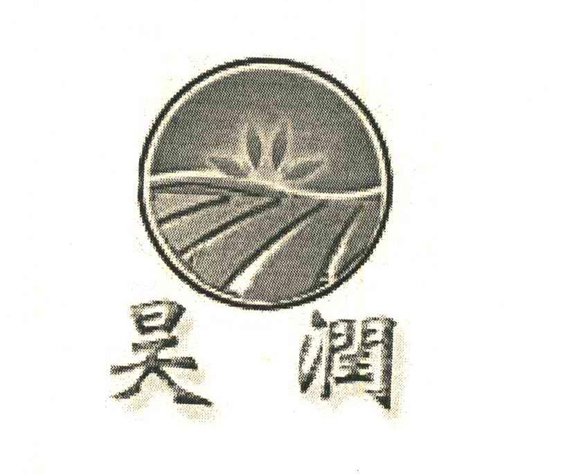 昊润