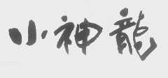 小神龙