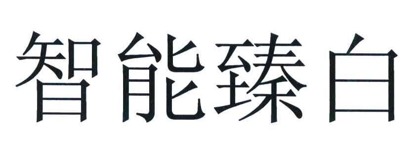 智能臻白