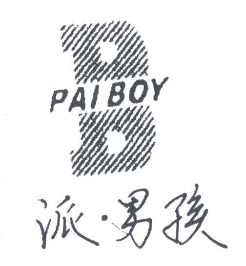 派男孩;PAI BOY;B