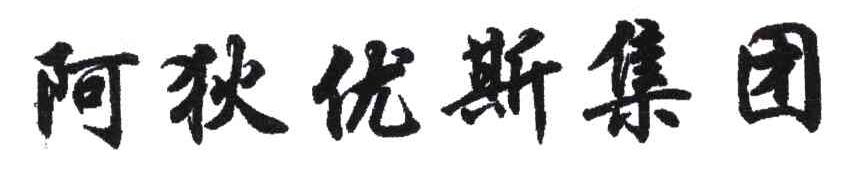 阿狄优斯集团