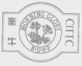 牵牛   MORNING GLORY N.U.K.P CITTC