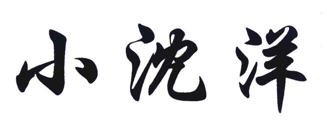 小沈洋